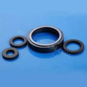 Silicon Carbide Seal Ring (2)_1