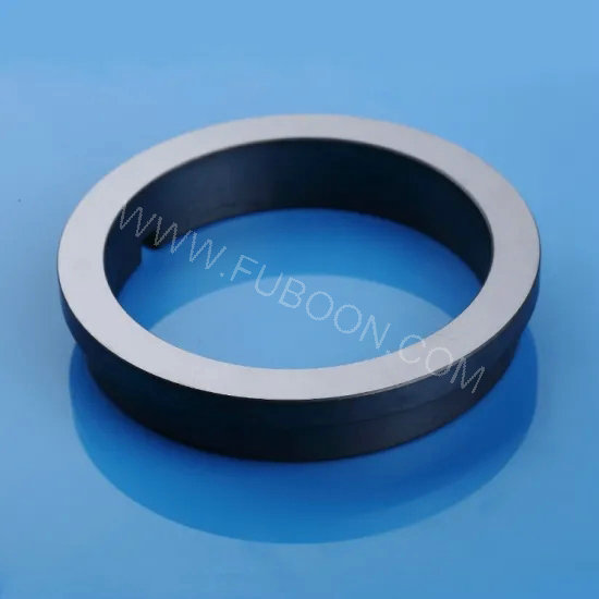 Silicon Carbide Seal Ring (3)_1