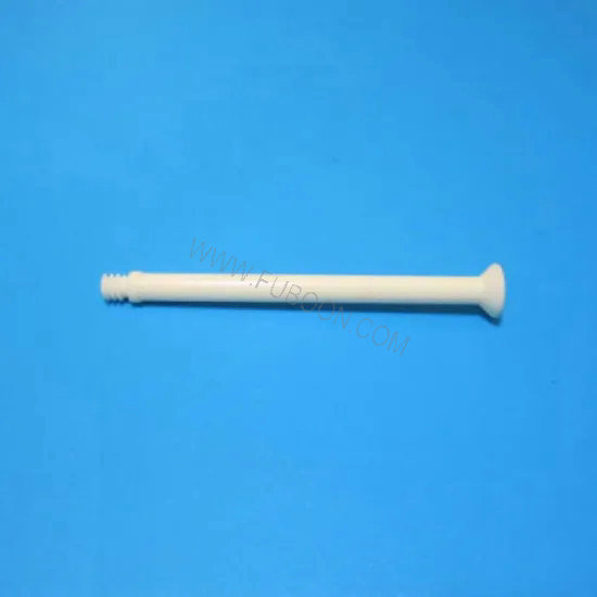 Zirconia Ceramic Pin (2)